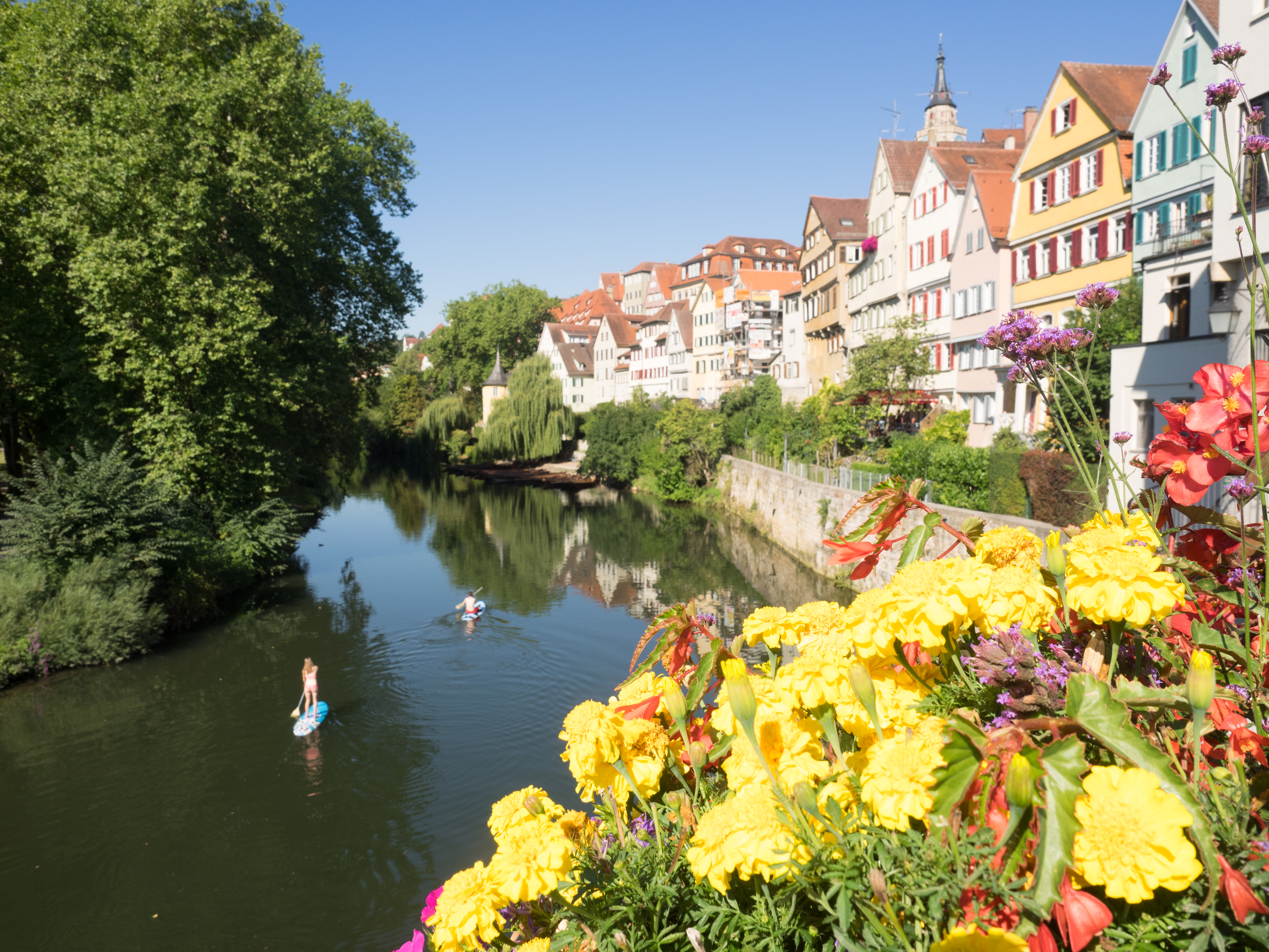 Photo of the famous Neckarfront in Tübingen