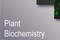 Plant Biochemistry