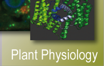 Plant Physiology