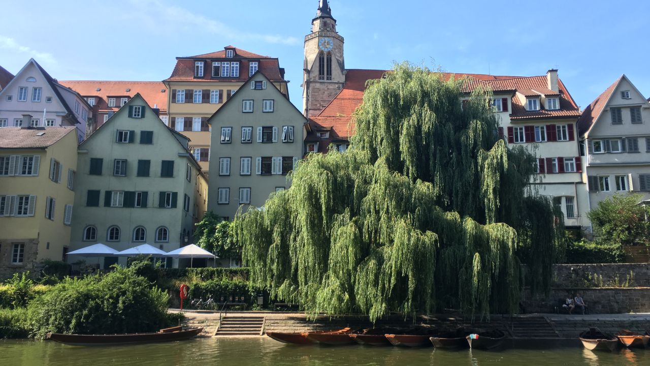 Sicht vom Neckar auf die Alte Aula und Stiftskirche