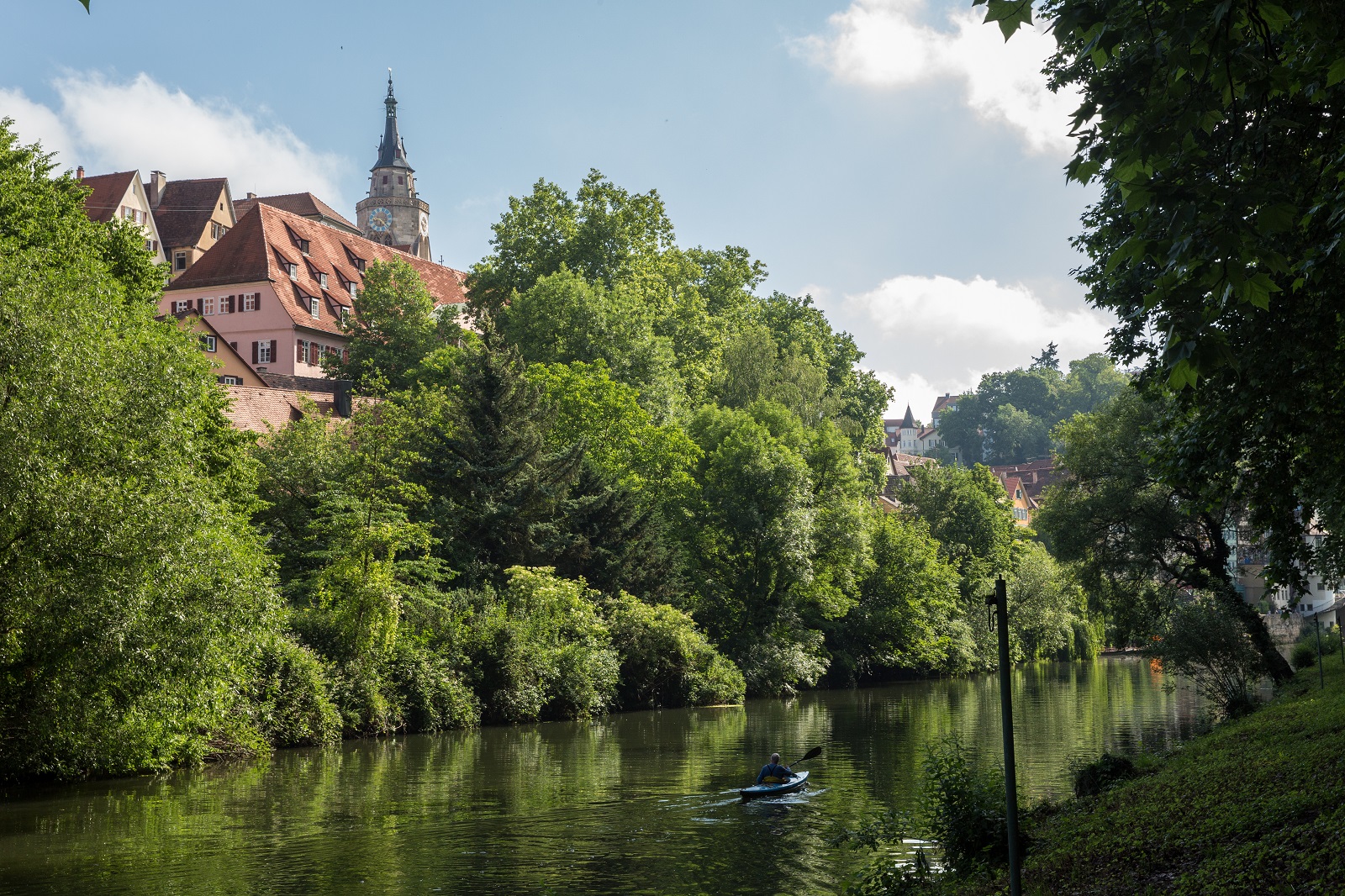 Im Vordergrund der Neckar, das Ufer mit Bäumen und im Hintergrund die Altstadt und die Stiftskirche.