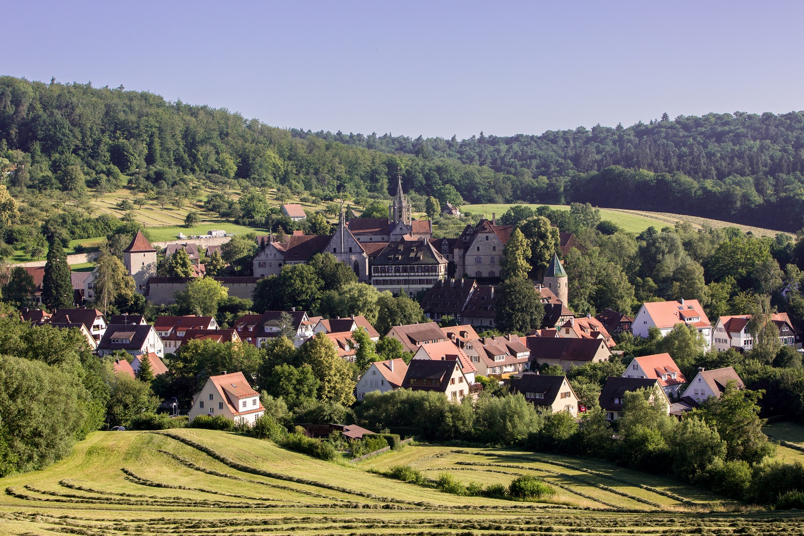 Bebenhausen and the Bebenhausen Monastery in the foreground, meadows and forests in the background