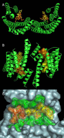 fig1m