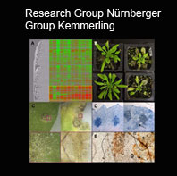 title-kemmerling