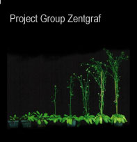 Project Group Zentgraf