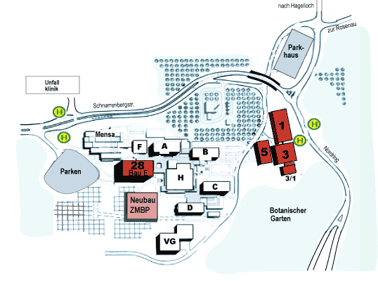 Map ZMBP