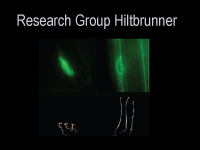 FG Hiltbrunner